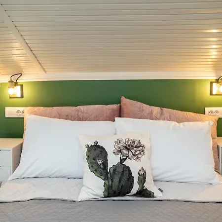 Tatil Evi Aliki's Minia